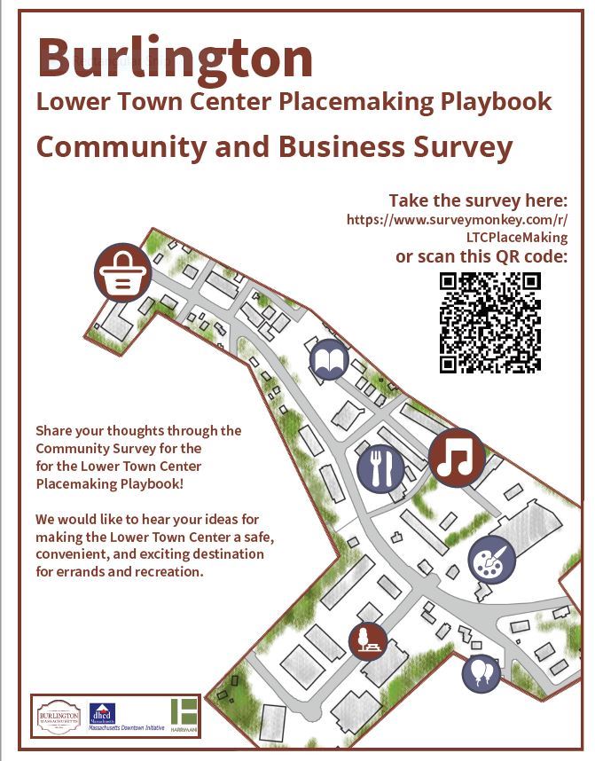 Town Center Survey Pic