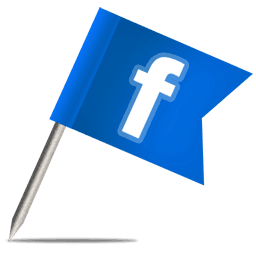 Facebook Icon on a little stick flag